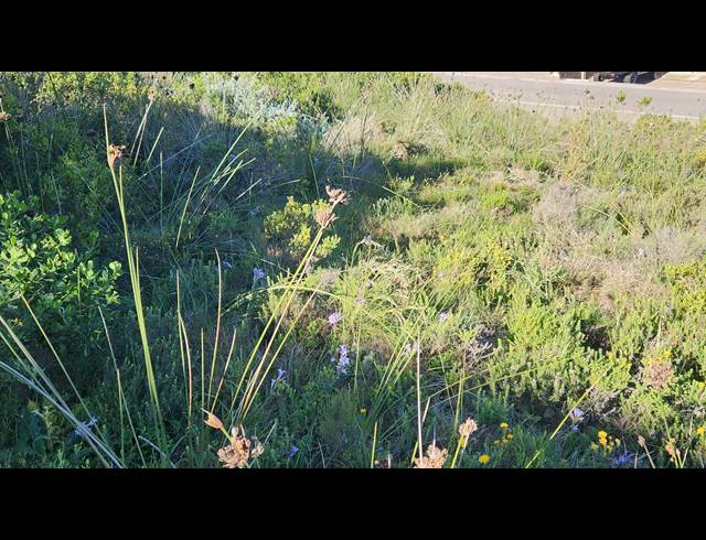 827M² VACANT LAND FOR SALE IN ISLAND VIEW